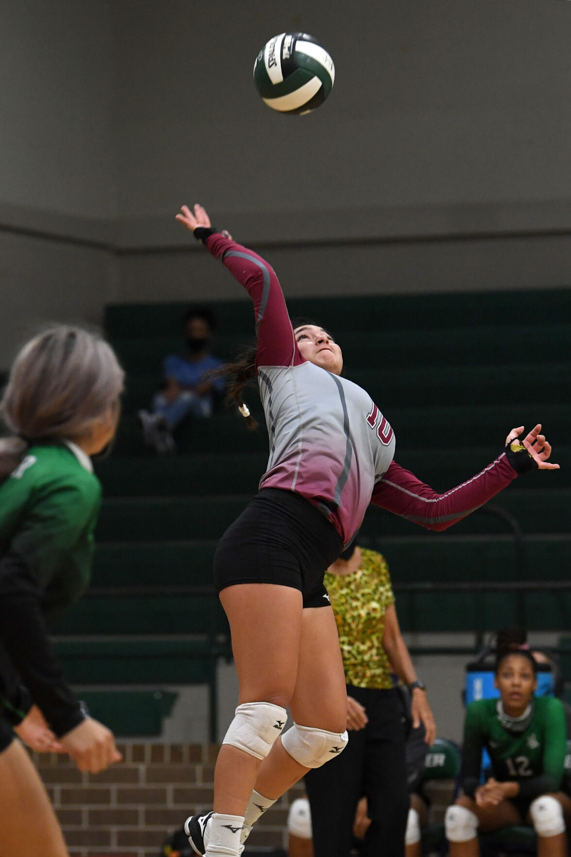 Rudder vs. Magnolia West